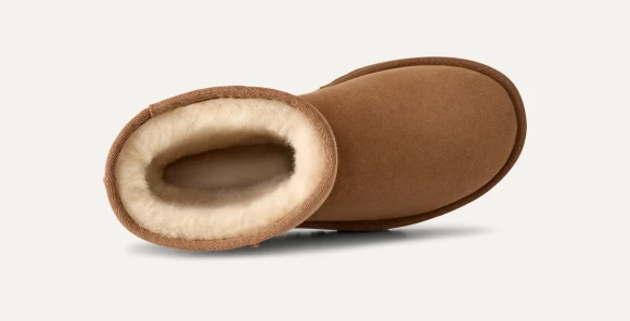 Женские короткие угги Classic Short Chestnut