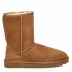 Женские короткие угги Classic Short Chestnut