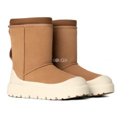 Classic Short Weather Hybrid - Chestnut / Whitecap